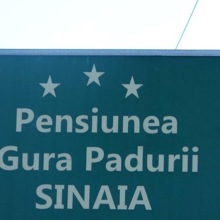 Gura Padurii 호텔 시나이아 외부 사진