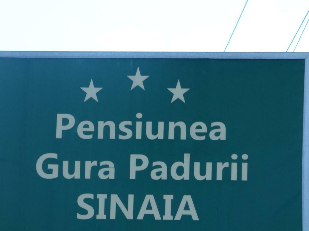Gura Padurii 호텔 시나이아 외부 사진